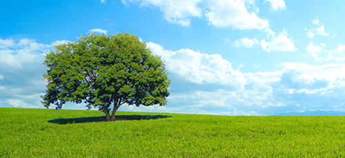 Rebornでは「毒親育ち改善セラピー」をメインメニューとして提供しておりますが、そこに付随したメニューも一部ご用意させていただいております。